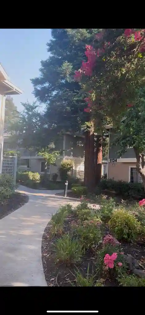 Looking to fill a room asap