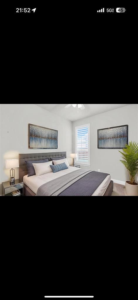Private Room in Frisco