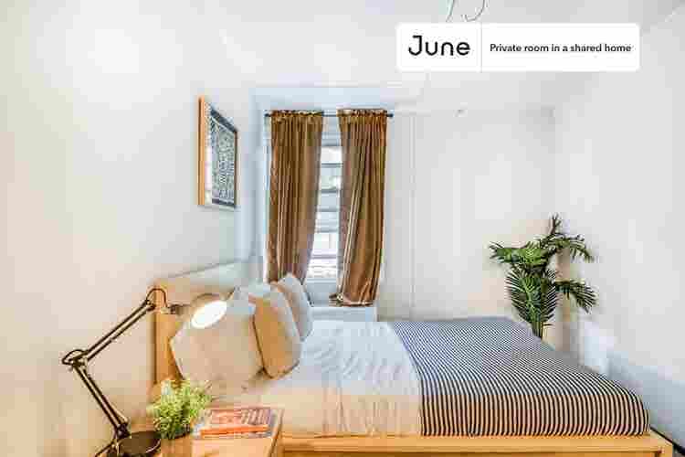 5 BR in Washington DC