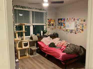 ROOM FOR RENT