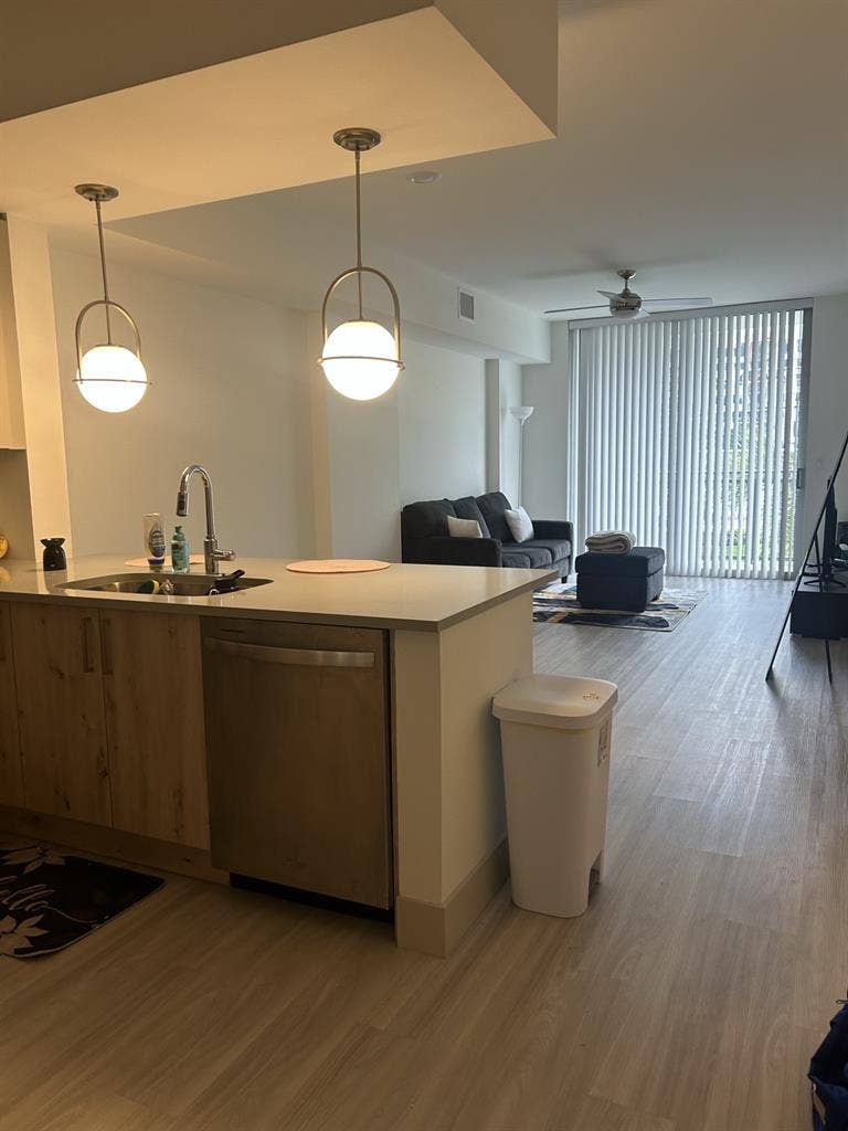 Apartment Take over