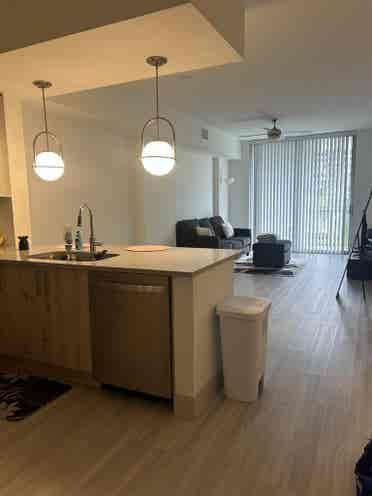 Apartment Take over