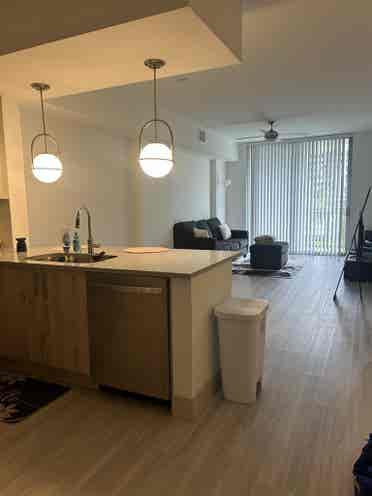 Apartment Take over
