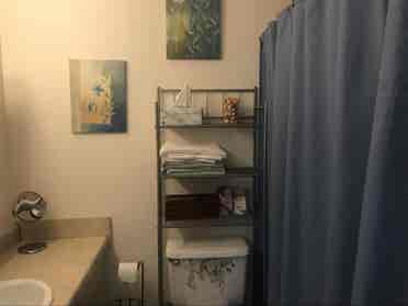 Studio Vet med area