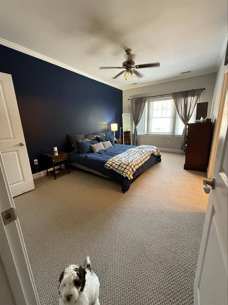 Room For Rent in Upgraded Townhome
