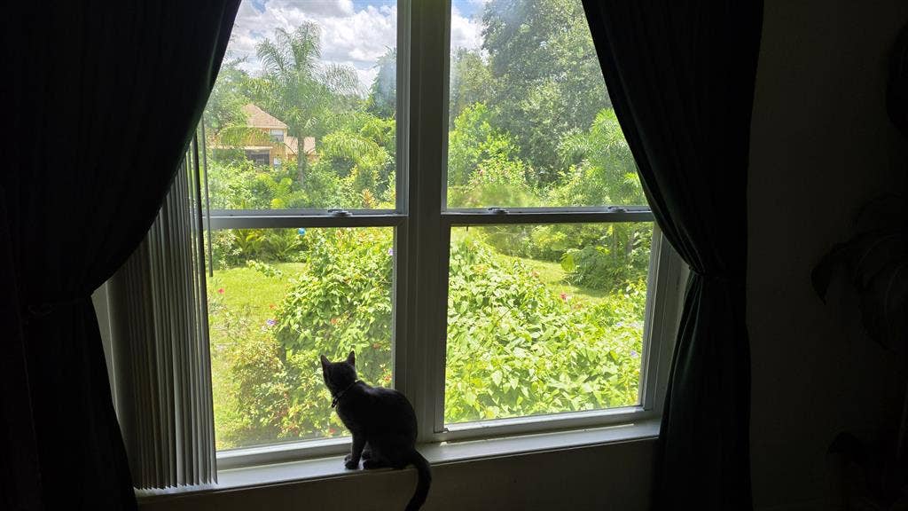 LARGE MASTER SUITE W/PRIVATE BATH