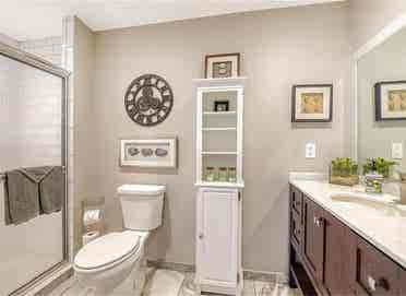 Looking for the perfect roommate!