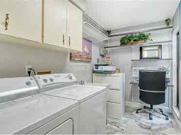 Looking for the perfect roommate!