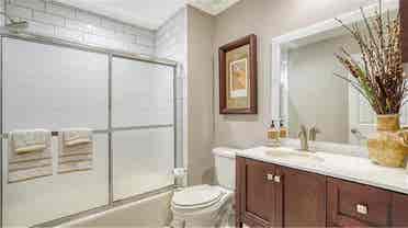 Looking for the perfect roommate!