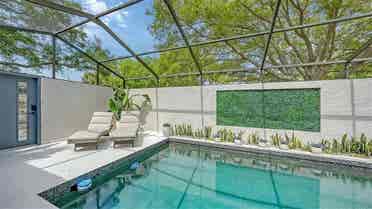 Looking for the perfect roommate!
