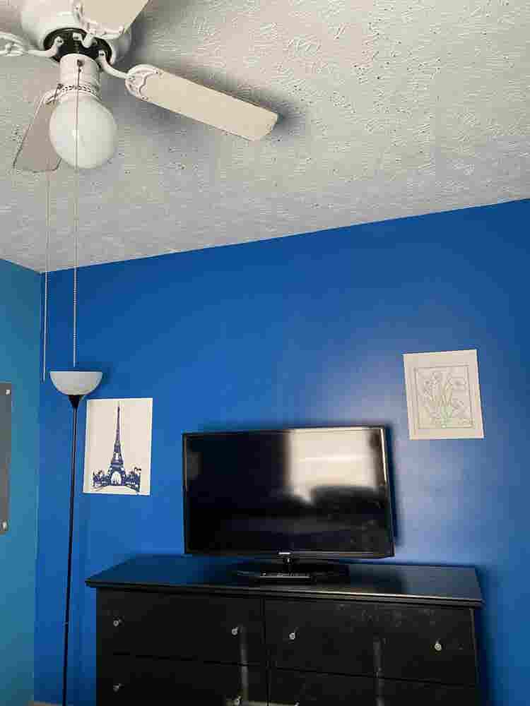 Private bedroom available
