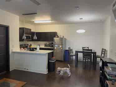 Private Room + Bath | Furnished Apt
