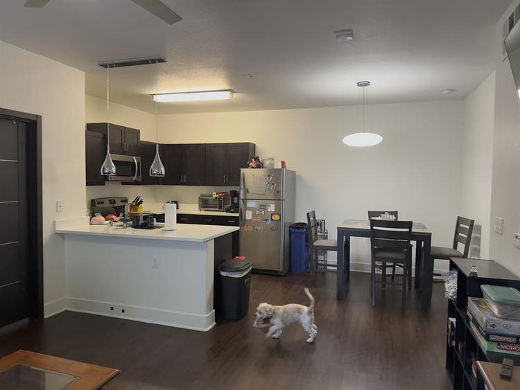 Private Room + Bath | Furnished Apt