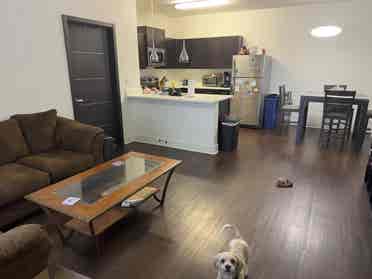 Private Room + Bath | Furnished Apt