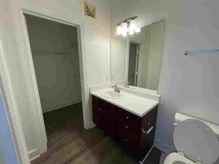 4 BR in Austin