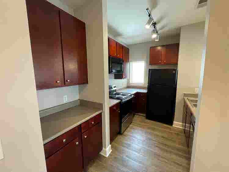 4 BR in Austin