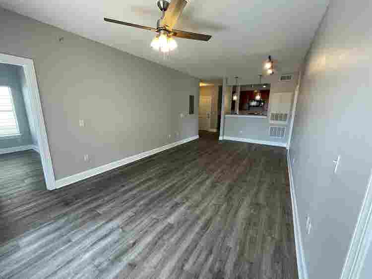 4 BR in Austin