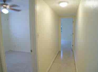 Cozy room in College Park available