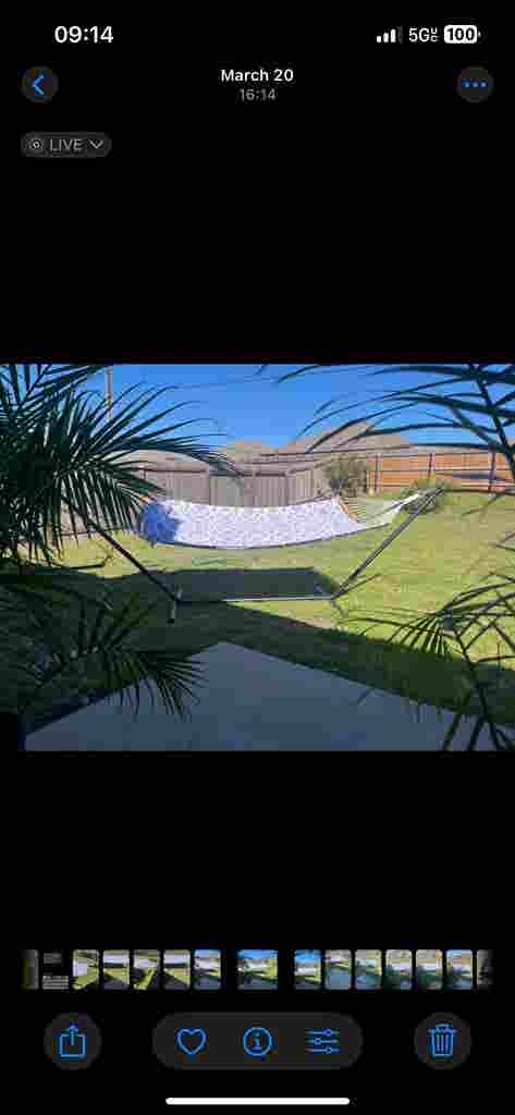 “Cozy room for rent in Hutto"