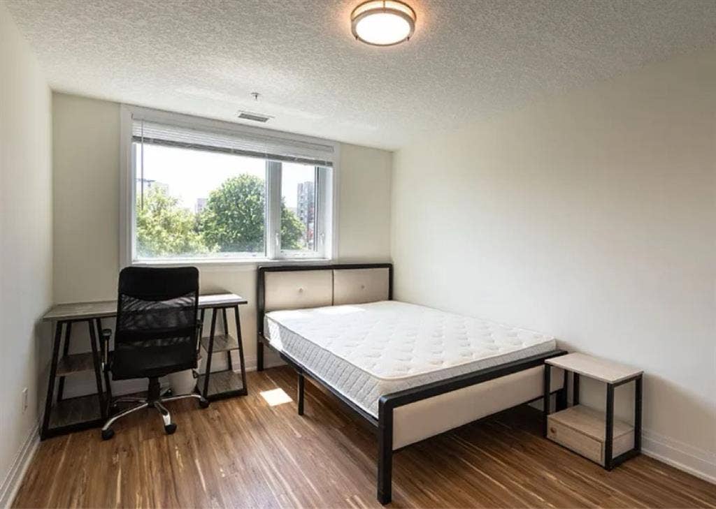 Looking for a roommate :D