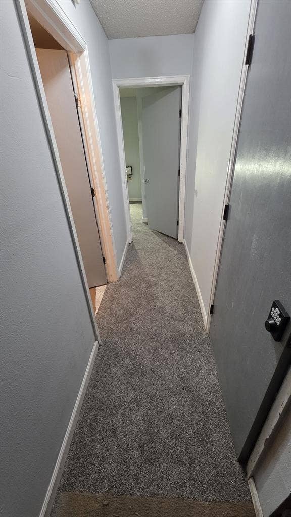 Looking for a mature roomate