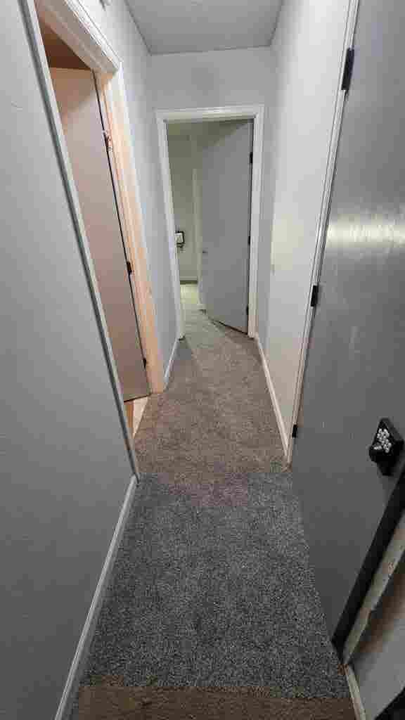 Looking for a mature roomate