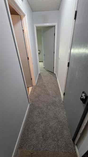 Looking for a mature roomate
