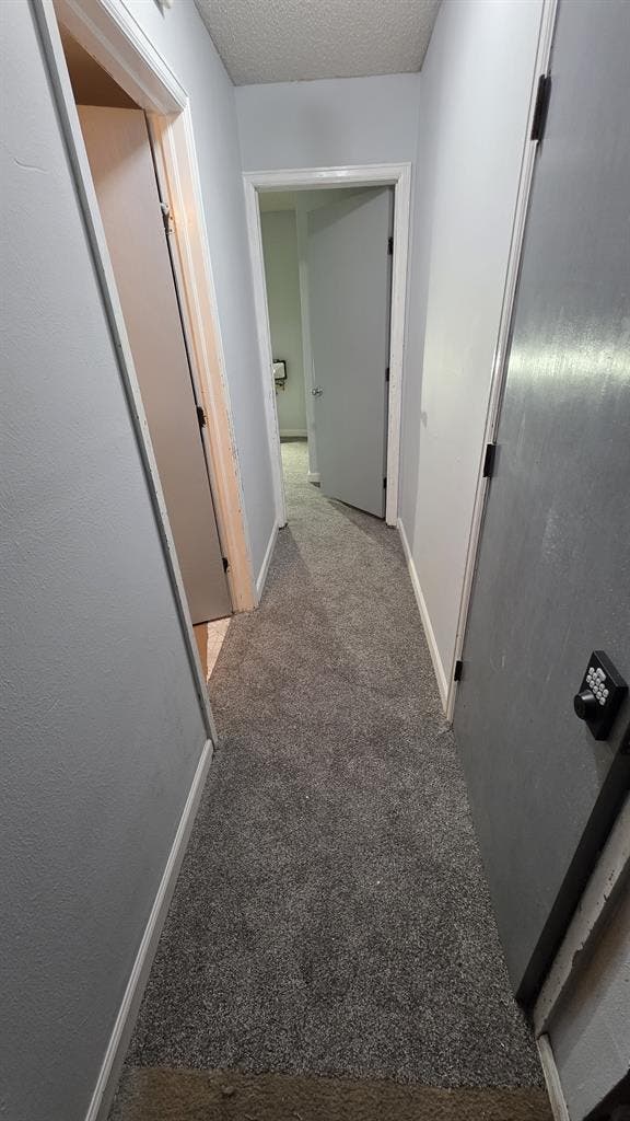 Looking for a mature roomate