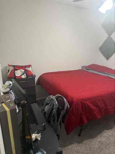 Room 4 Rent