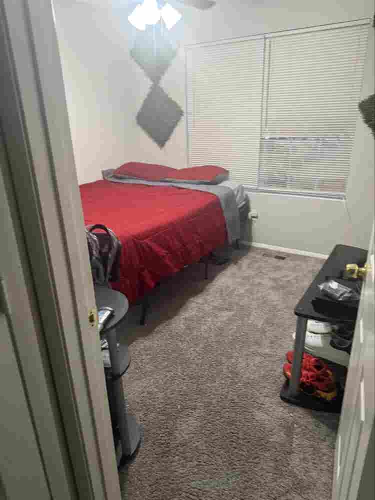 Room  Friendly