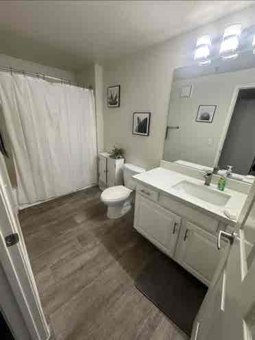 Room for rent