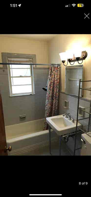 Looking for a roommate
