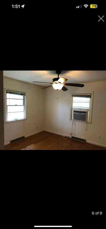 Looking for a roommate