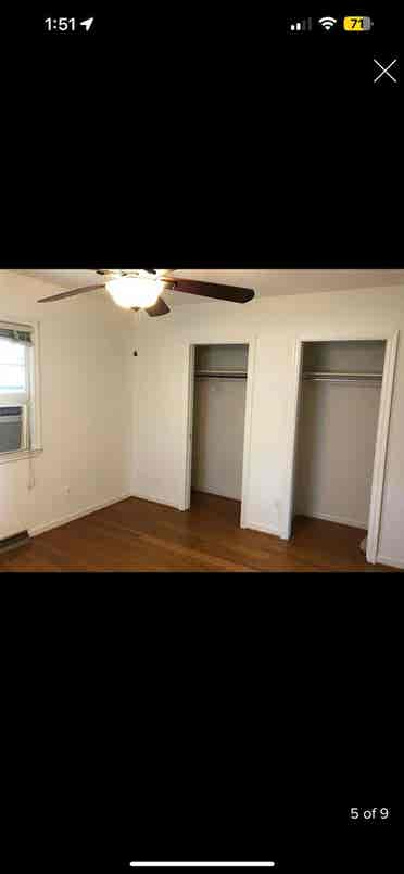 Looking for a roommate