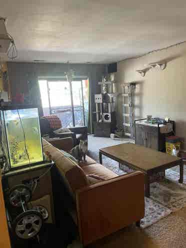 1 bed with full bath