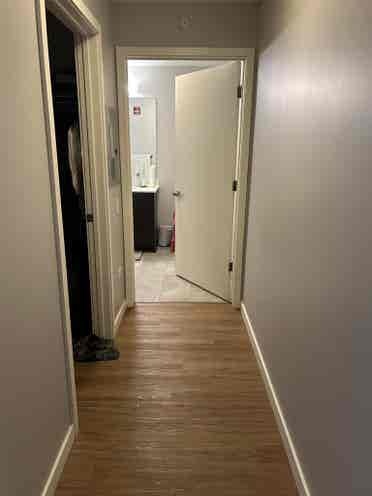 Sublet Available - Downtown Chicago