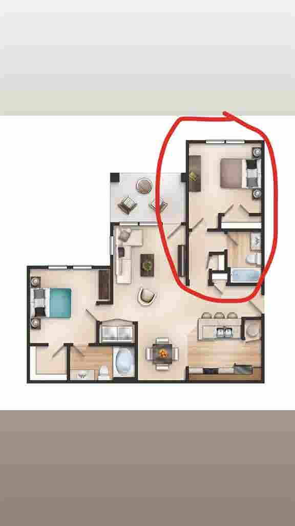 Looking for a Roommate