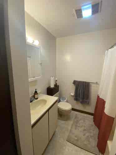 Looking for roommate
