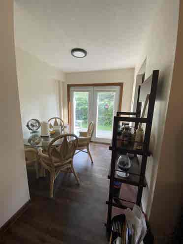 Looking for roommate