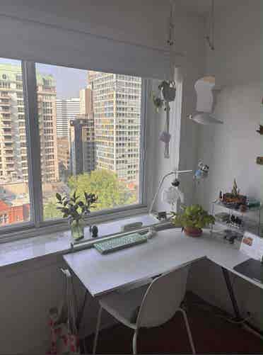 URGENT: Looking for a roommate!