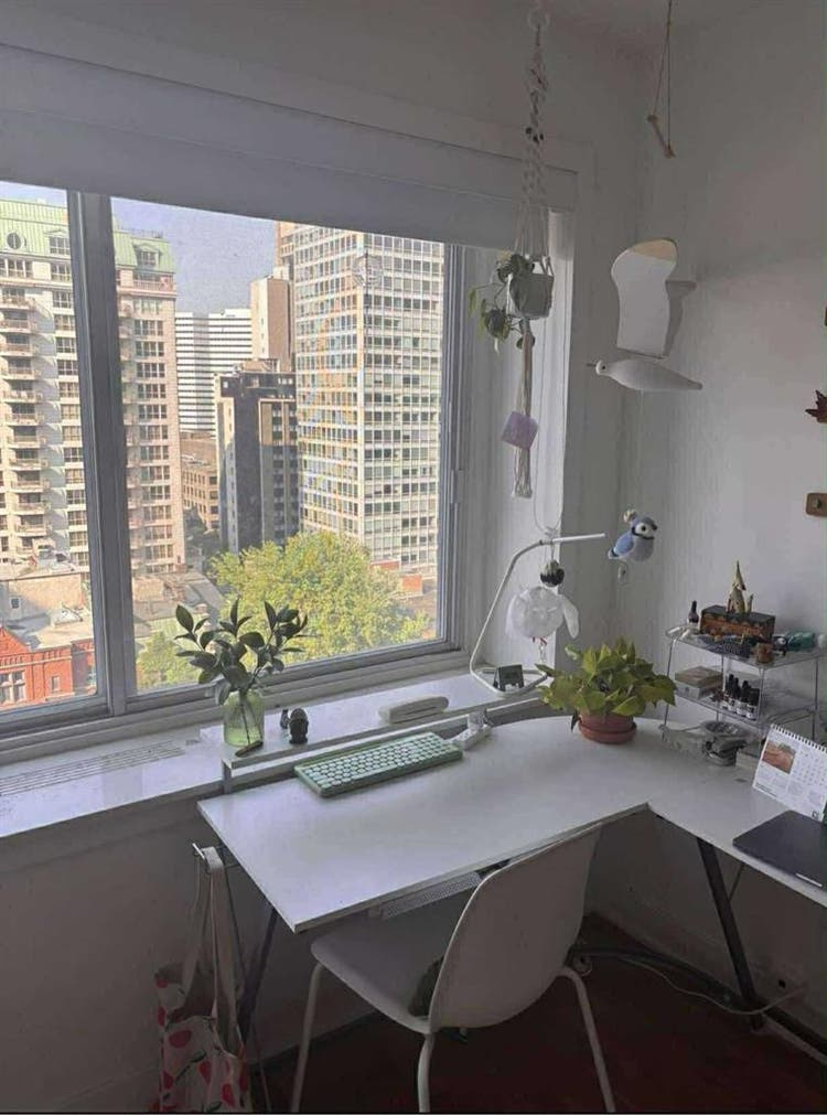 URGENT: Looking for a roommate!