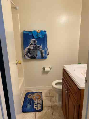 Female roommate wanted