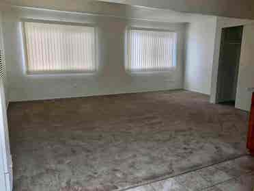 Female roommate wanted