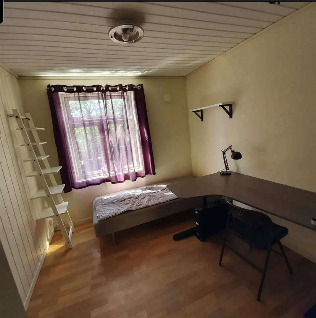Room in shared flat