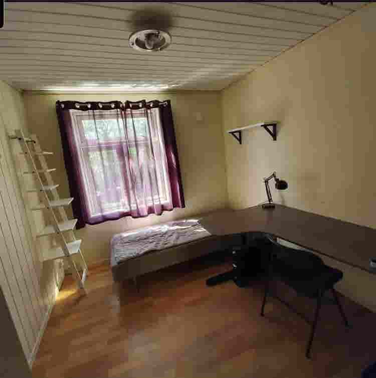 Room in shared flat