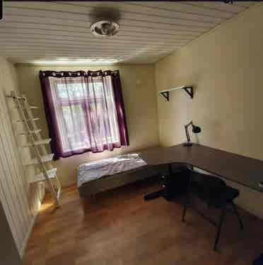 Room in shared flat