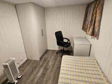 Room in shared flat