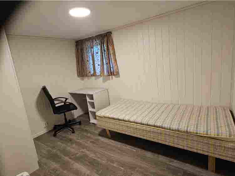 Room in shared flat