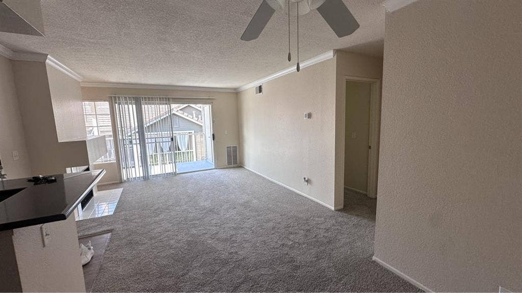 Looking for a girl roommate!