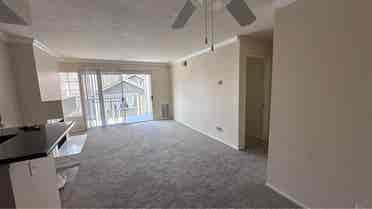 Looking for a girl roommate!